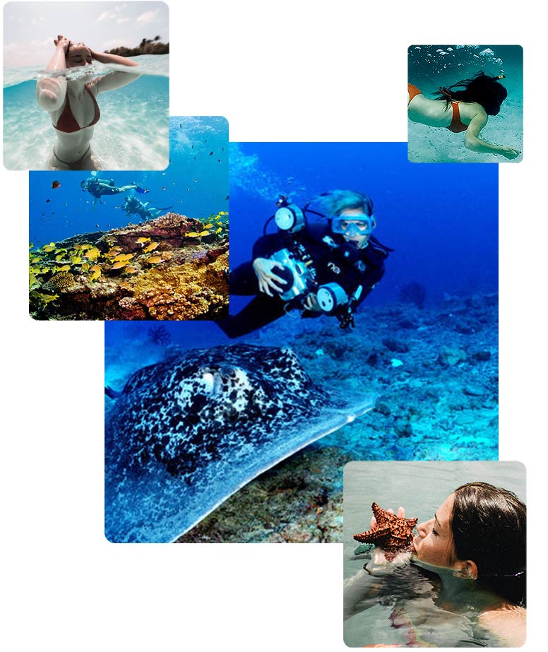 Fonds marins Antilles Fonds marins Antilles