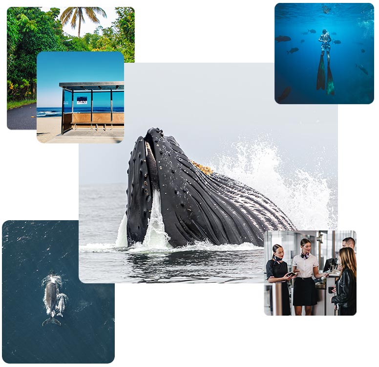 Entre Madagascar et le Mozambique se trouve Mayotte, un petit archipel des Comores dans l’océan Indien. Entre Madagascar et le Mozambique se trouve Mayotte, un petit archipel des Comores dans l’océan Indien.