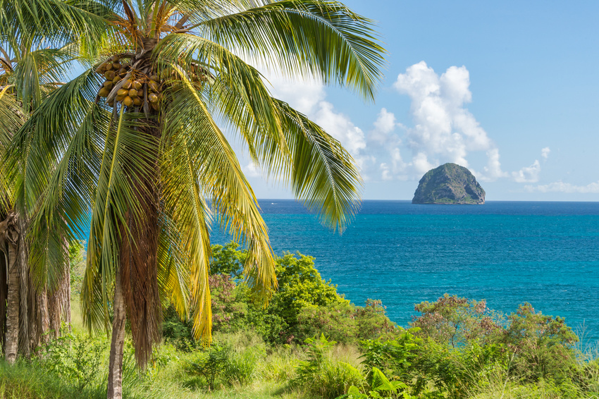 Martinique