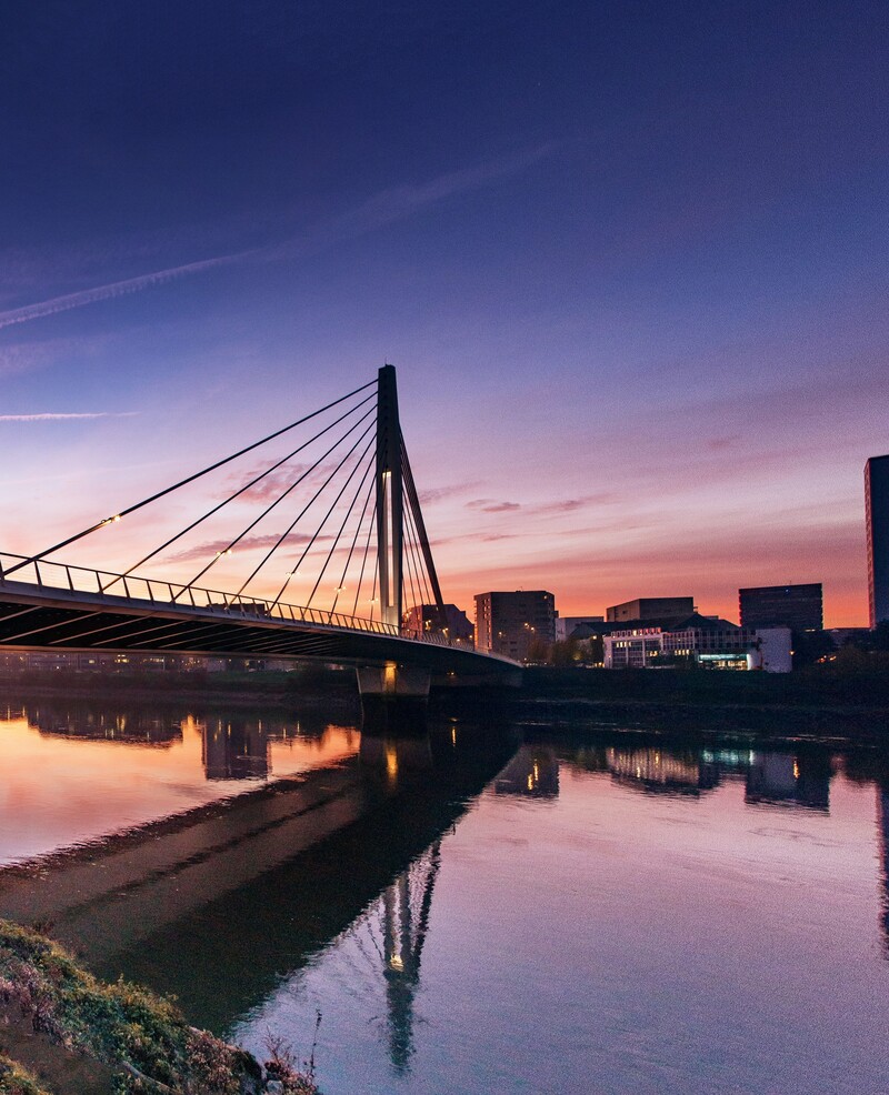 Vol pour la France métropolitaine : Pays de la Loire