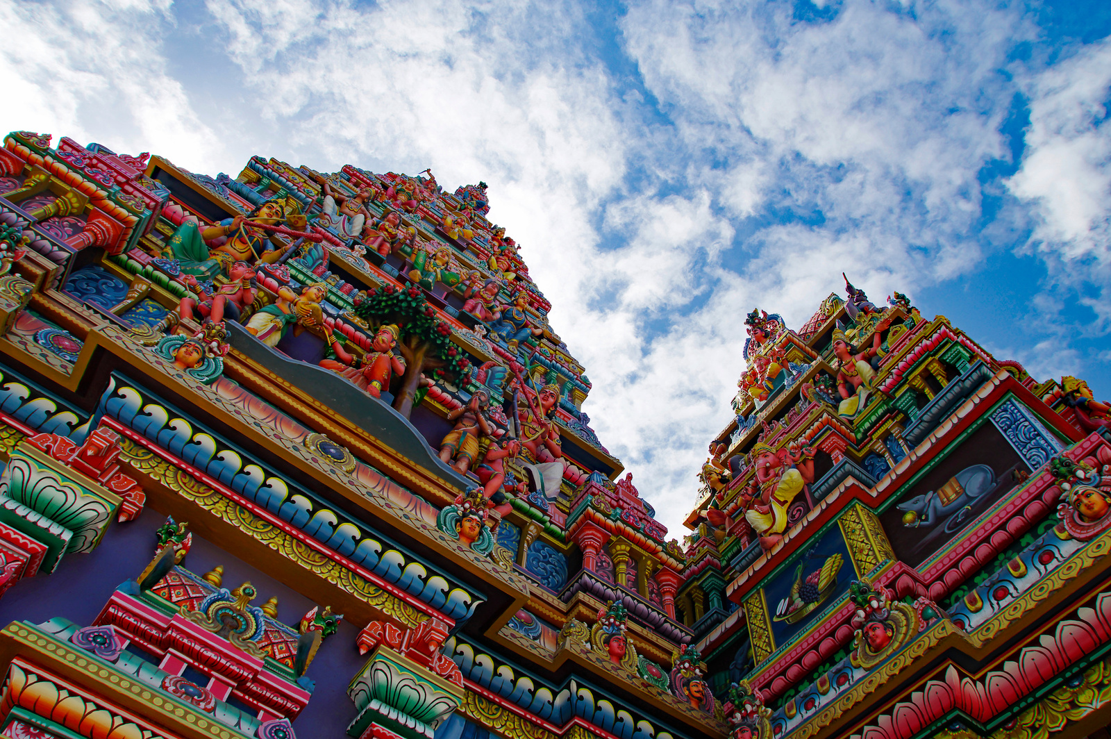 Photos de plats typique de la Réunion