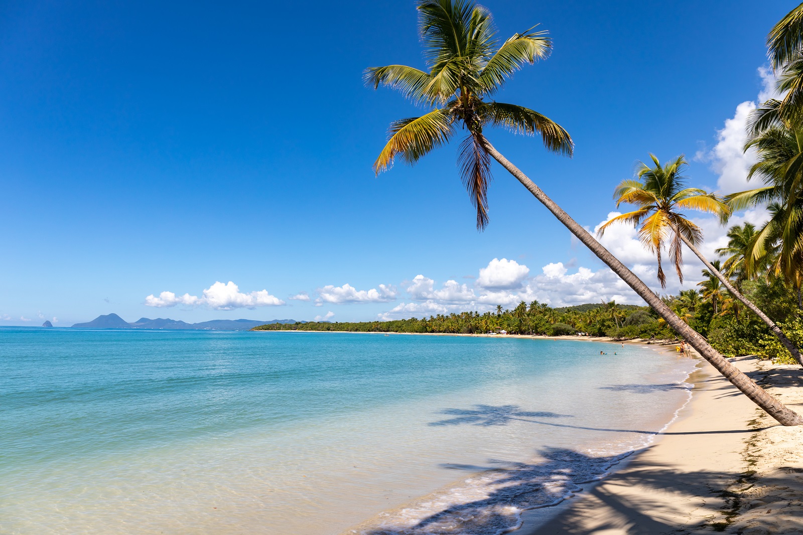 partir en hiver au soleil martinique partir en hiver au soleil martinique