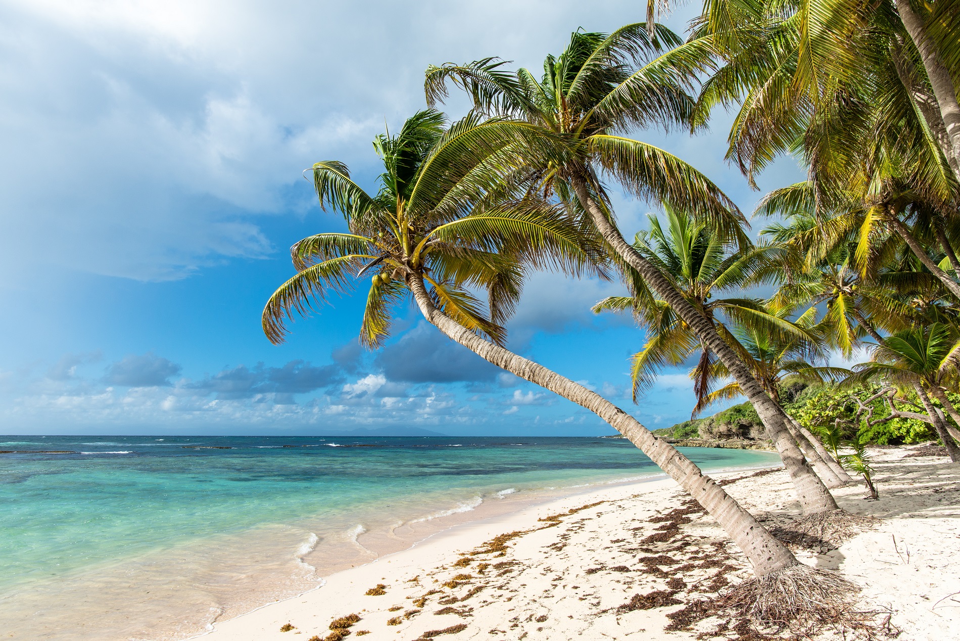 plage de Marie-Galante plage de Marie-Galante