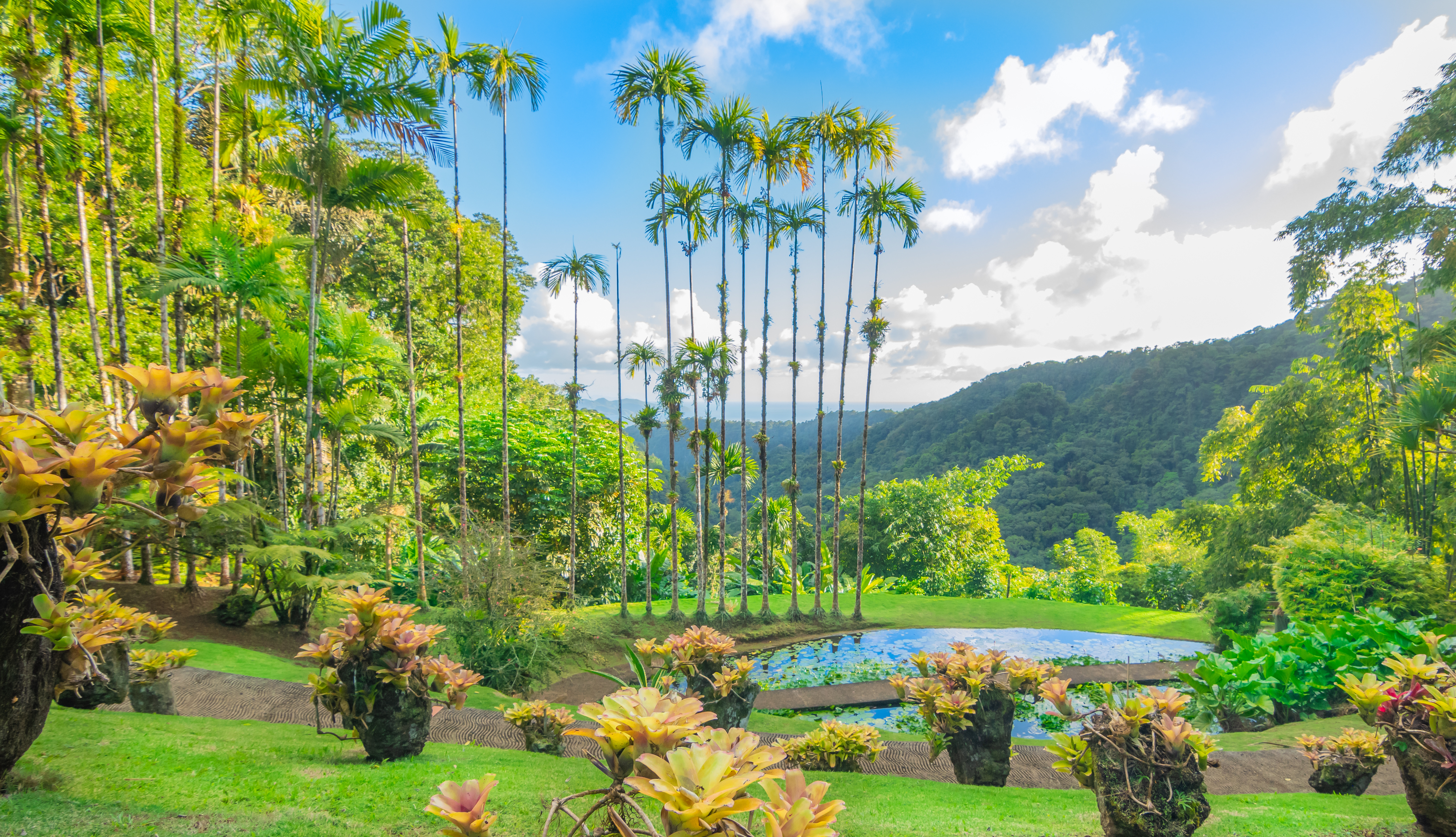 activités incontournables en martinique