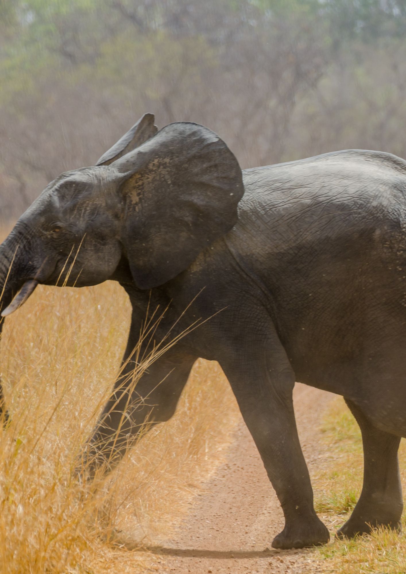 Loisirs à la Réunion