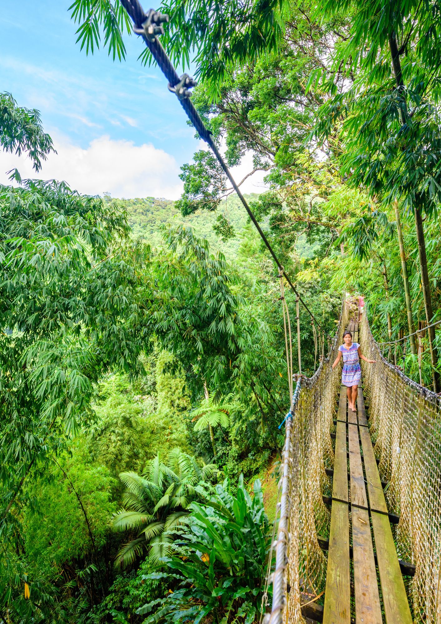 Photos de plats typique de la Réunion