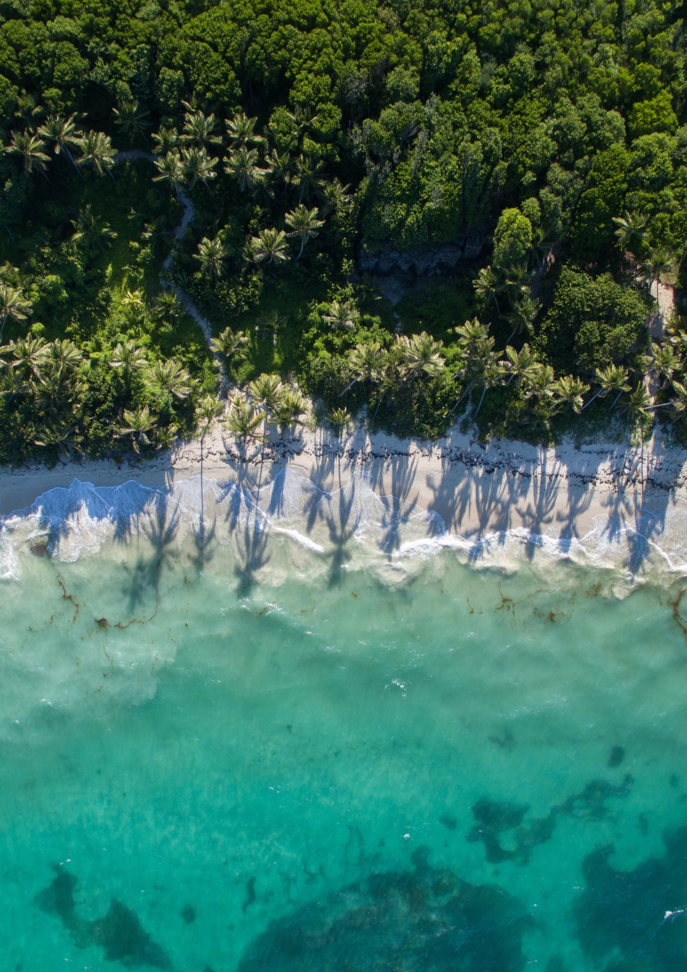 Loisirs à la Réunion