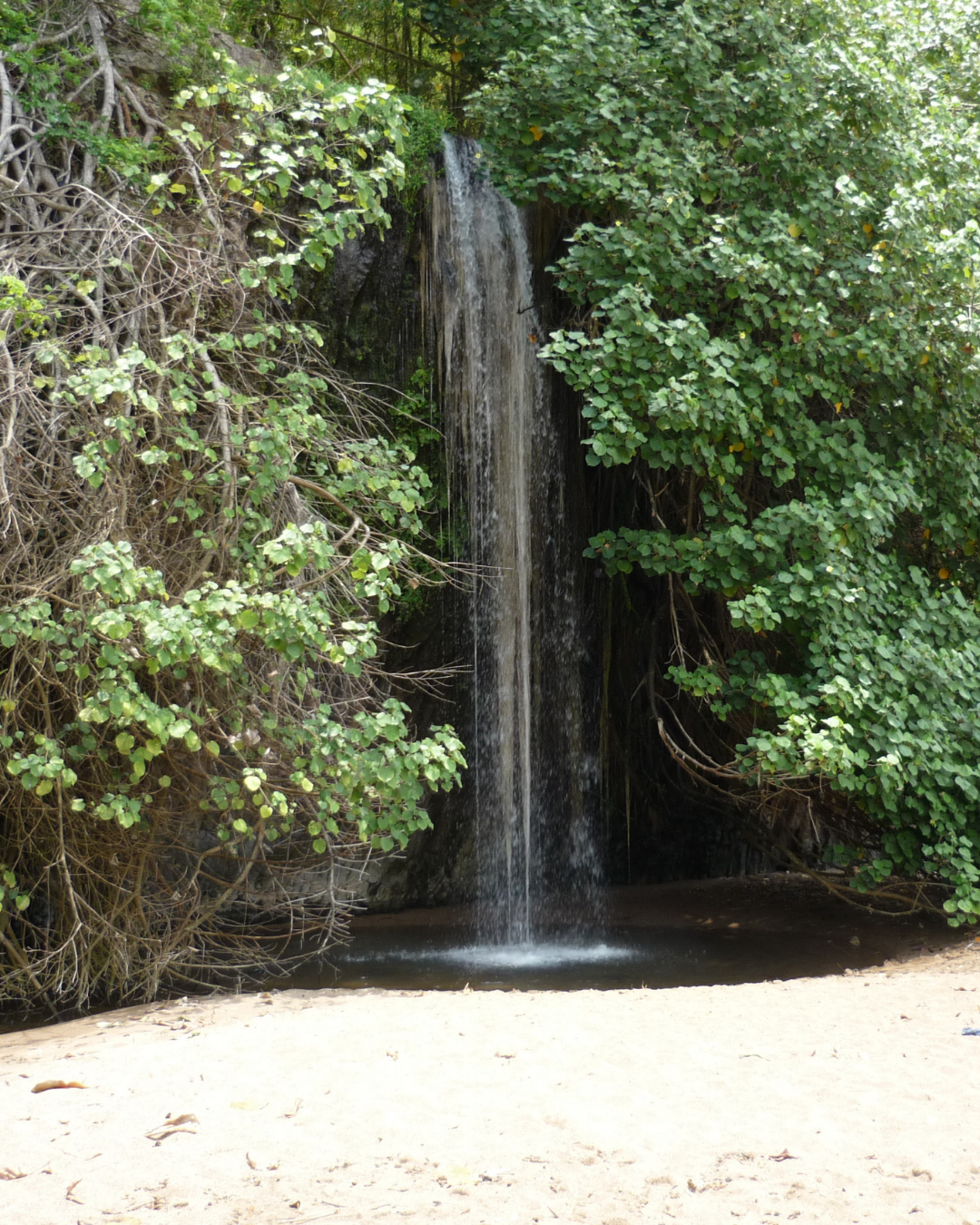 Plage de l'Étang-Salé