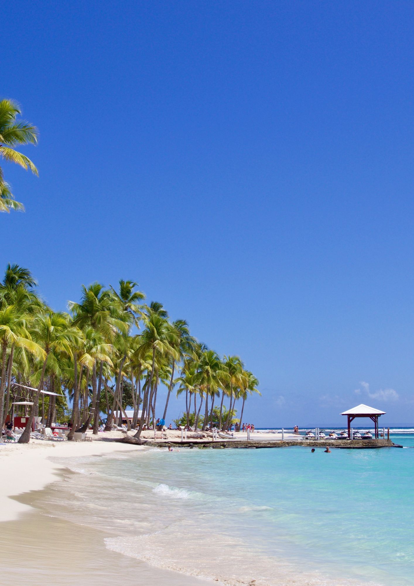 Quand partir en Martinique 