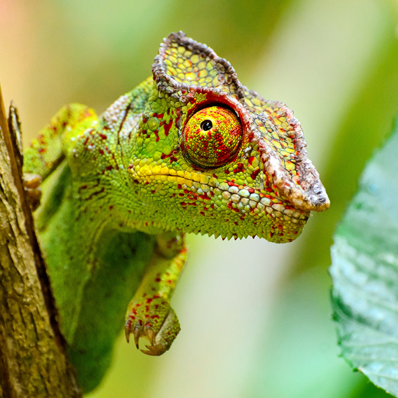 En arrivant à l’aéroport de Dzaoudzi-Pamandzi