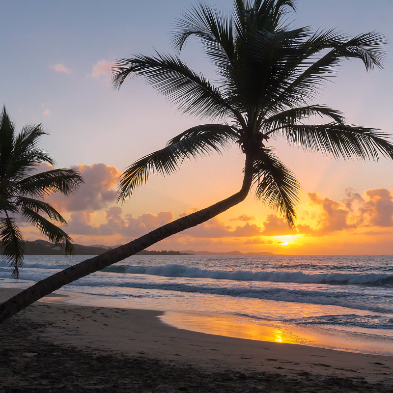 composition paris lieux incontournables