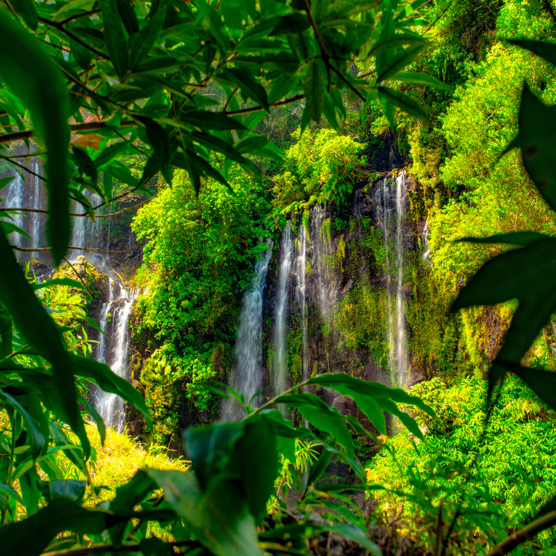 En arrivant à l’aéroport de Dzaoudzi-Pamandzi