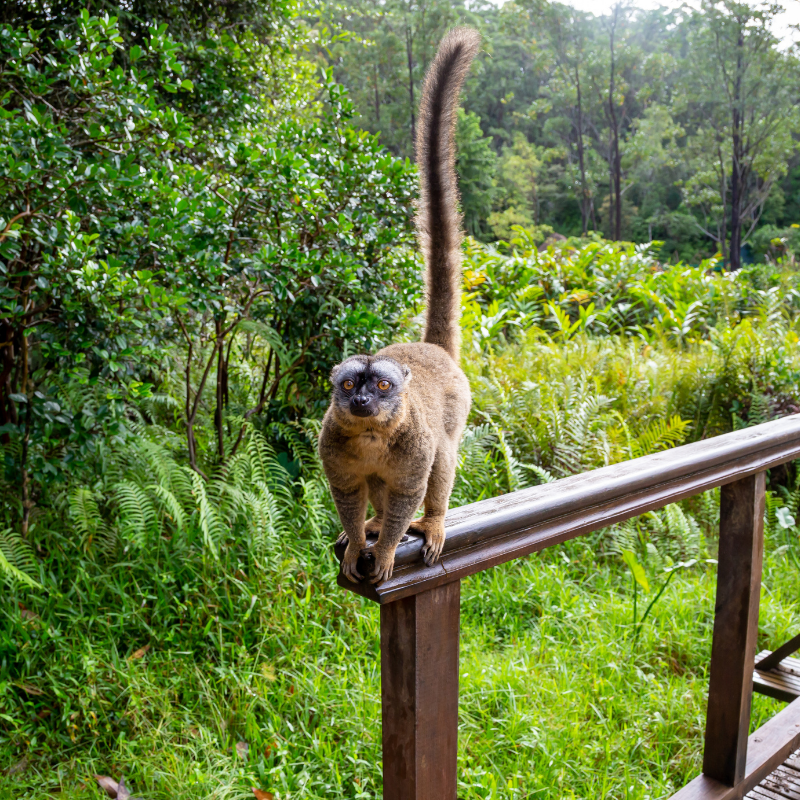 En arrivant à l’aéroport de Dzaoudzi-Pamandzi