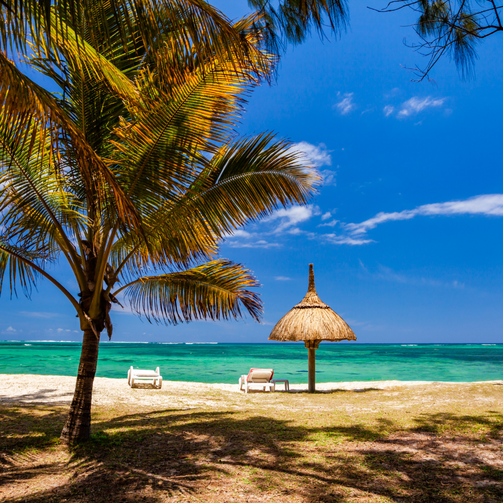 Climat , voyager à la Réunion