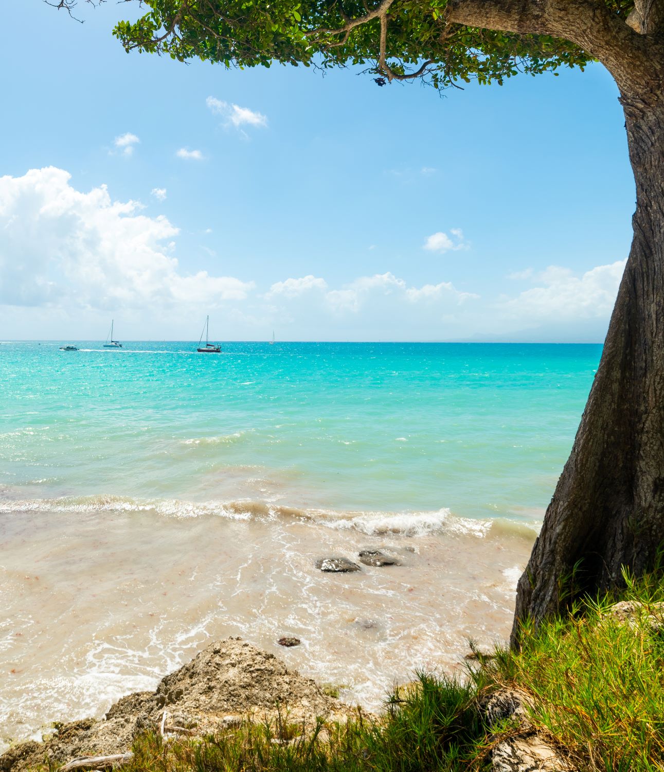 visiter guadeloupe