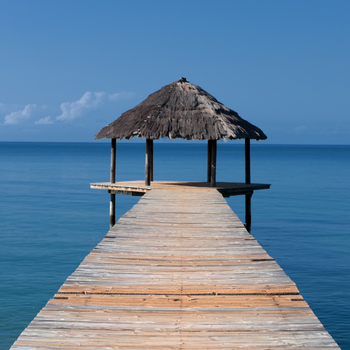 Tous nos partenaires