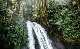 Découvrez la Guadeloupe