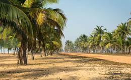 Découvrez Cotonou