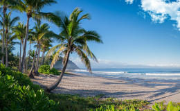 Découvrez l'île de la Réunion