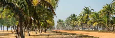 Découvrez Cotonou