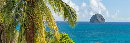 Discover Martinique Island