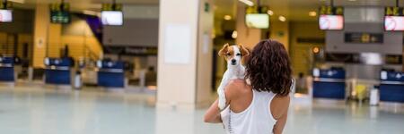   Traveling with a Pet