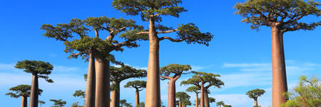 La Réunion - Madagascar