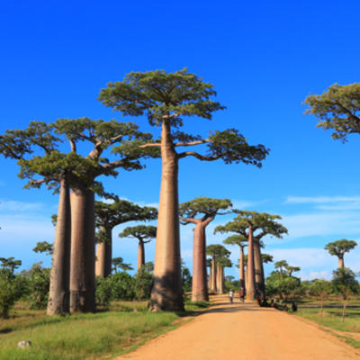 La Réunion - Madagascar