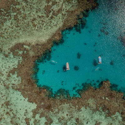 Lyon - Mayotte